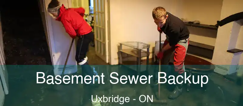 Basement Sewer Backup Uxbridge - ON