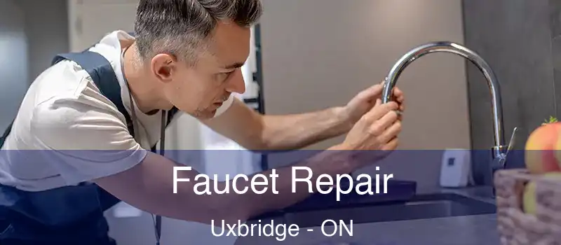  Faucet Repair Uxbridge - ON