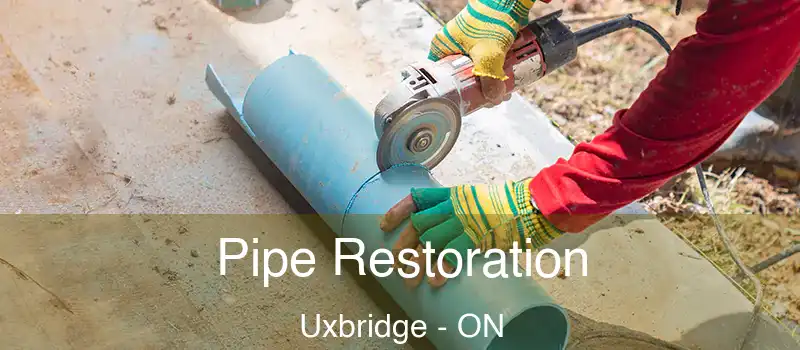  Pipe Restoration Uxbridge - ON