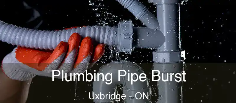  Plumbing Pipe Burst Uxbridge - ON