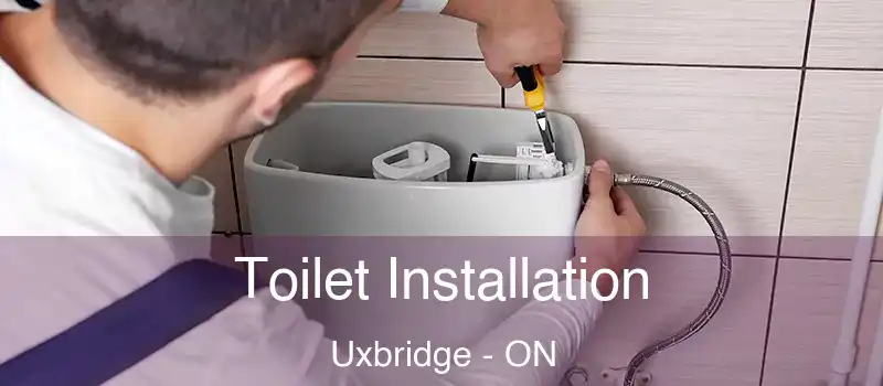  Toilet Installation Uxbridge - ON