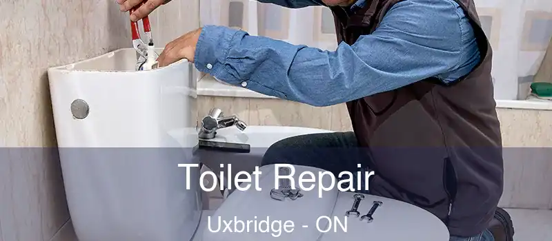  Toilet Repair Uxbridge - ON